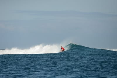 DSC_0702.JPG