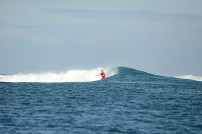 DSC_0704.JPG