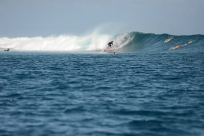DSC_0706.JPG