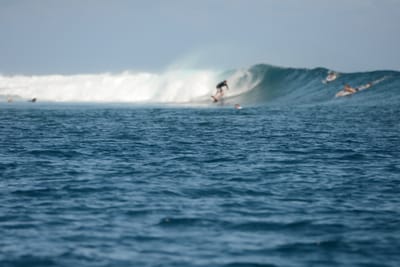 DSC_0707.JPG