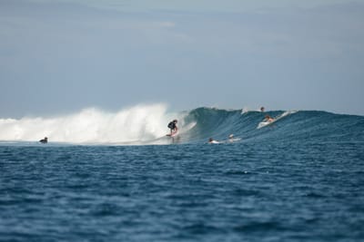 DSC_0708.JPG