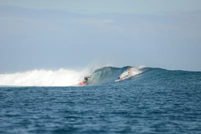 DSC_0709.JPG