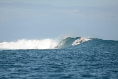 DSC_0710.JPG