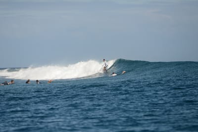 DSC_0711.JPG