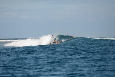 DSC_0712.JPG