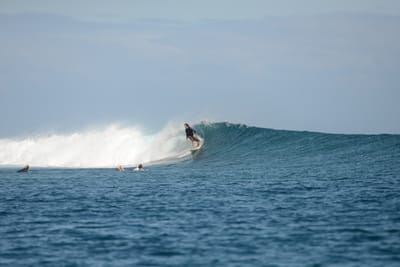 DSC_0713.JPG