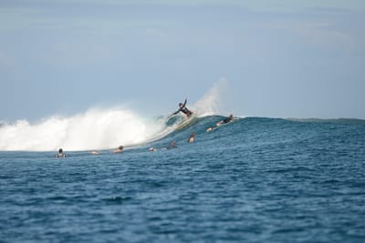 DSC_0715.JPG