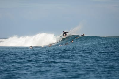 DSC_0716.JPG