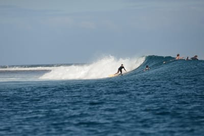 DSC_0717.JPG