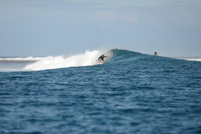 DSC_0718.JPG