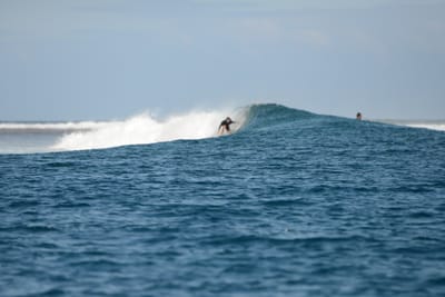 DSC_0719.JPG