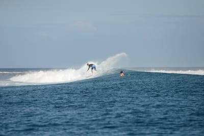 DSC_0746.JPG