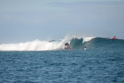 DSC_0748.JPG