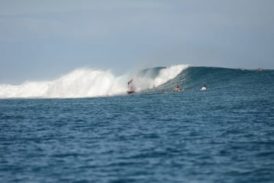DSC_0749.JPG