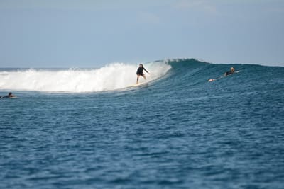 DSC_0753.JPG