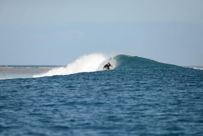 DSC_0754.JPG