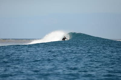 DSC_0755.JPG
