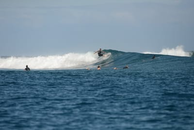 DSC_0758.JPG