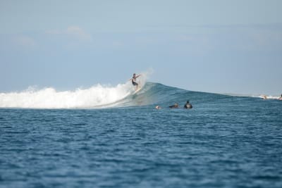DSC_0761.JPG