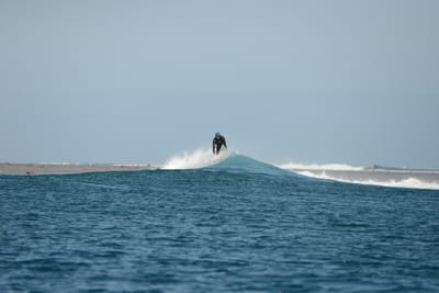 DSC_0790.JPG