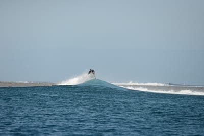 DSC_0791.JPG