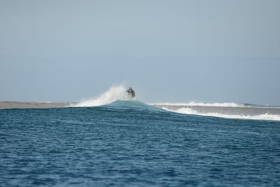 DSC_0792.JPG