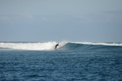 DSC_0793.JPG