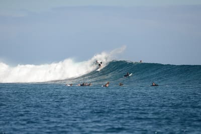 DSC_0796.JPG
