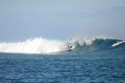 DSC_0798.JPG
