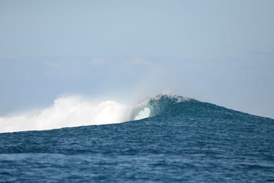 DSC_0800.JPG