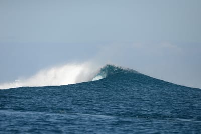 DSC_0801.JPG