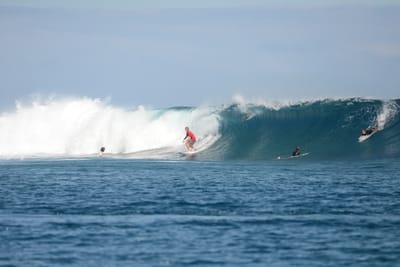 DSC_0802.JPG