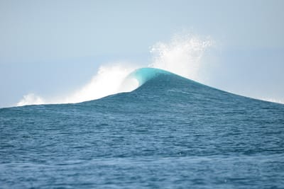DSC_0803.JPG