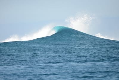 DSC_0804.JPG