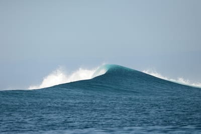 DSC_0805.JPG