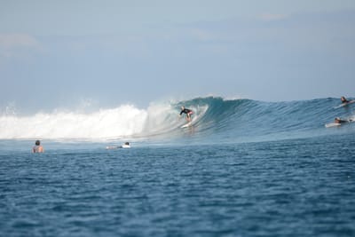 DSC_0806.JPG