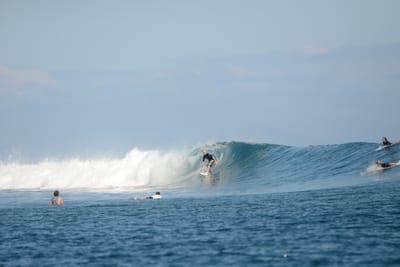 DSC_0807.JPG
