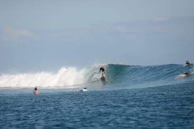DSC_0808.JPG