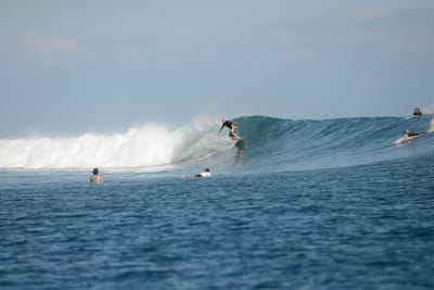 DSC_0809.JPG