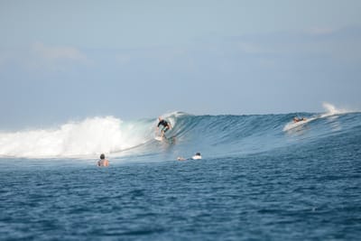 DSC_0810.JPG