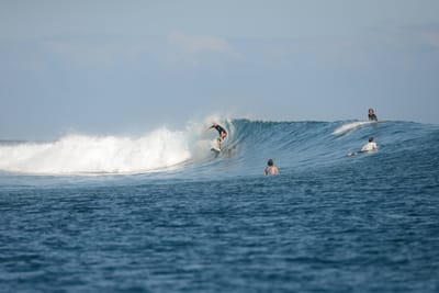 DSC_0811.JPG