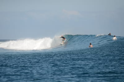 DSC_0812.JPG
