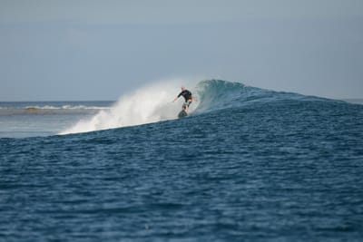 DSC_0817.JPG