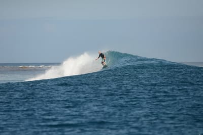 DSC_0818.JPG
