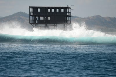 DSC_0442.JPG