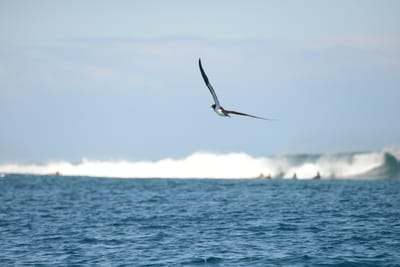 DSC_0661.JPG