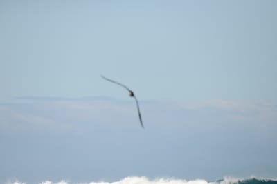 DSC_0662.JPG