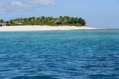 DSC_0893.JPG