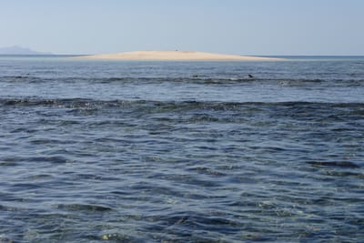 DSC_0894.JPG