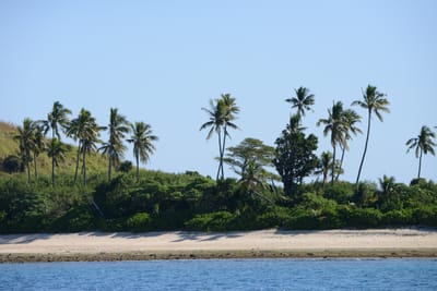 DSC_0902.JPG